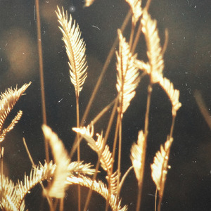 91短视频在线观看免费最新
