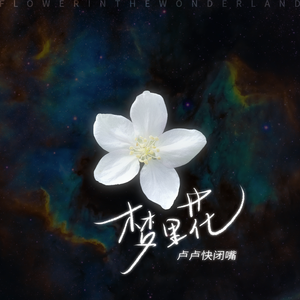 91短视频在线观看免费最新
