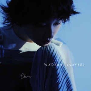 91短视频在线观看免费最新
